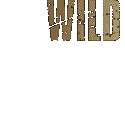promo_wwwest2.gif (8327 bytes)