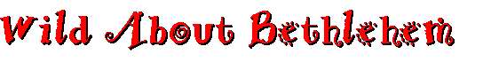 wild2.jpg (9350 bytes)